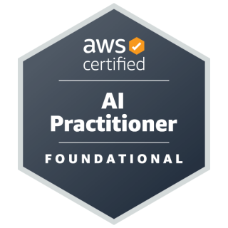 AI Practitioner